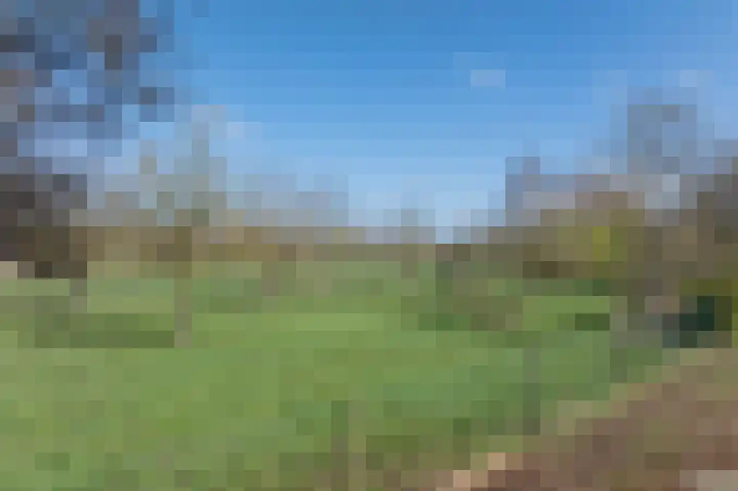 Gruinten 62 Emmer-Compascuum thumbnail 33