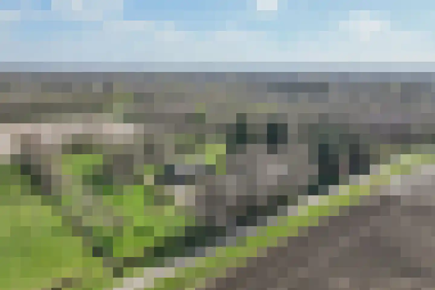 Gruinten 62 Emmer-Compascuum thumbnail 37
