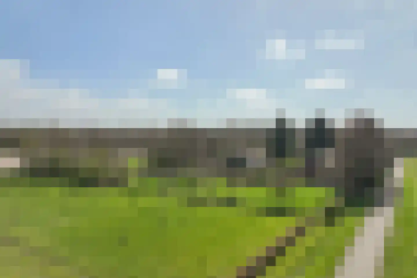Gruinten 62 Emmer-Compascuum thumbnail 38
