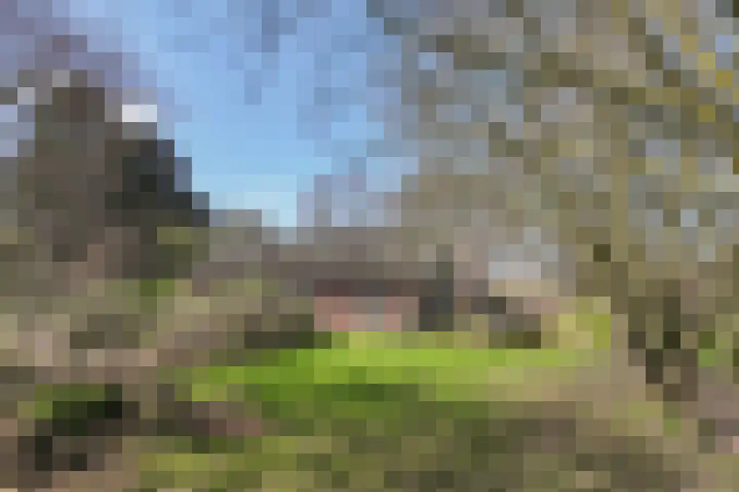 Gruinten 62 Emmer-Compascuum thumbnail 44