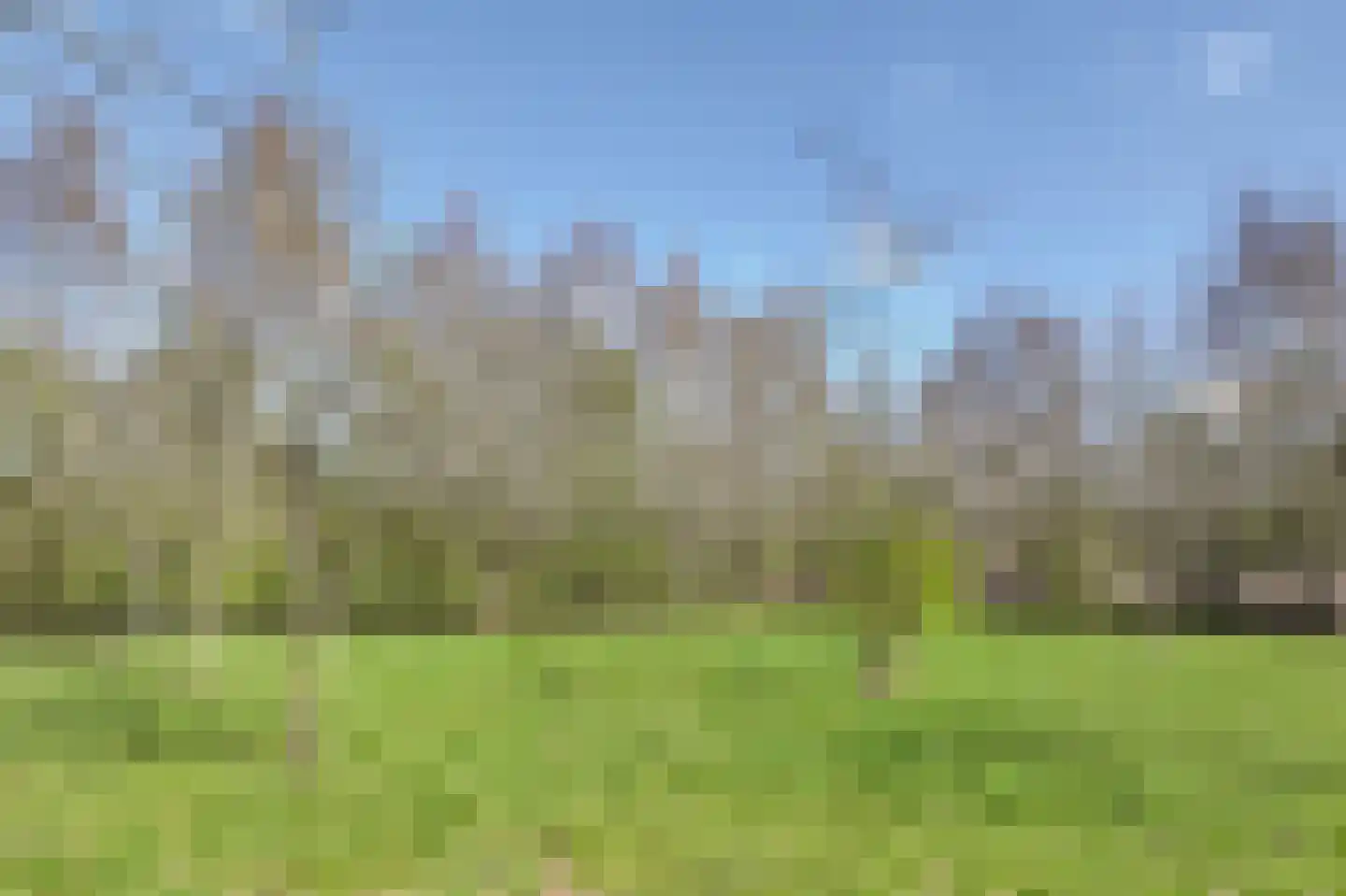 Gruinten 62 Emmer-Compascuum thumbnail 46