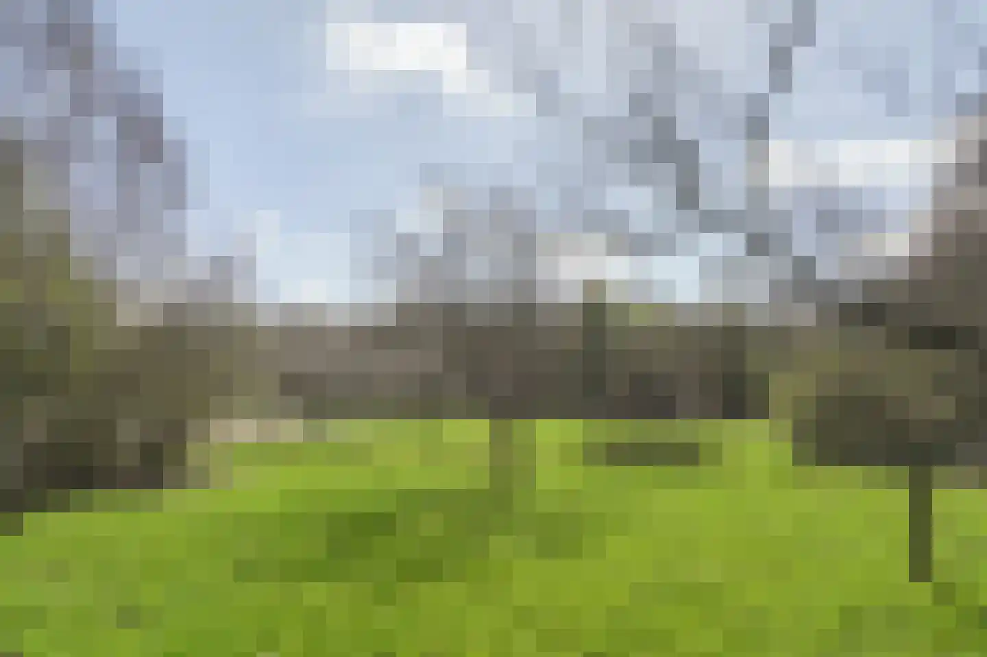 Gruinten 62 Emmer-Compascuum thumbnail 47