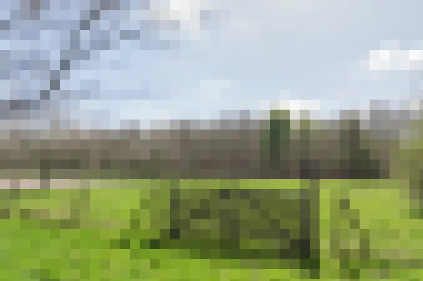Gruinten 62 Emmer-Compascuum thumbnail 50