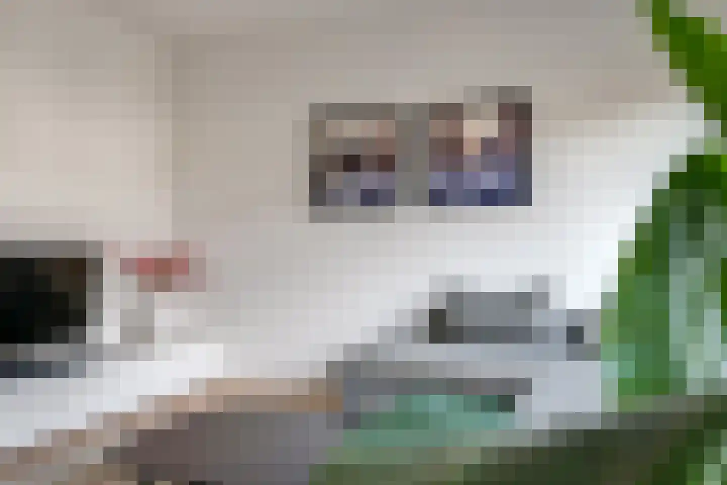 Gruit 22 Bemmel thumbnail 10