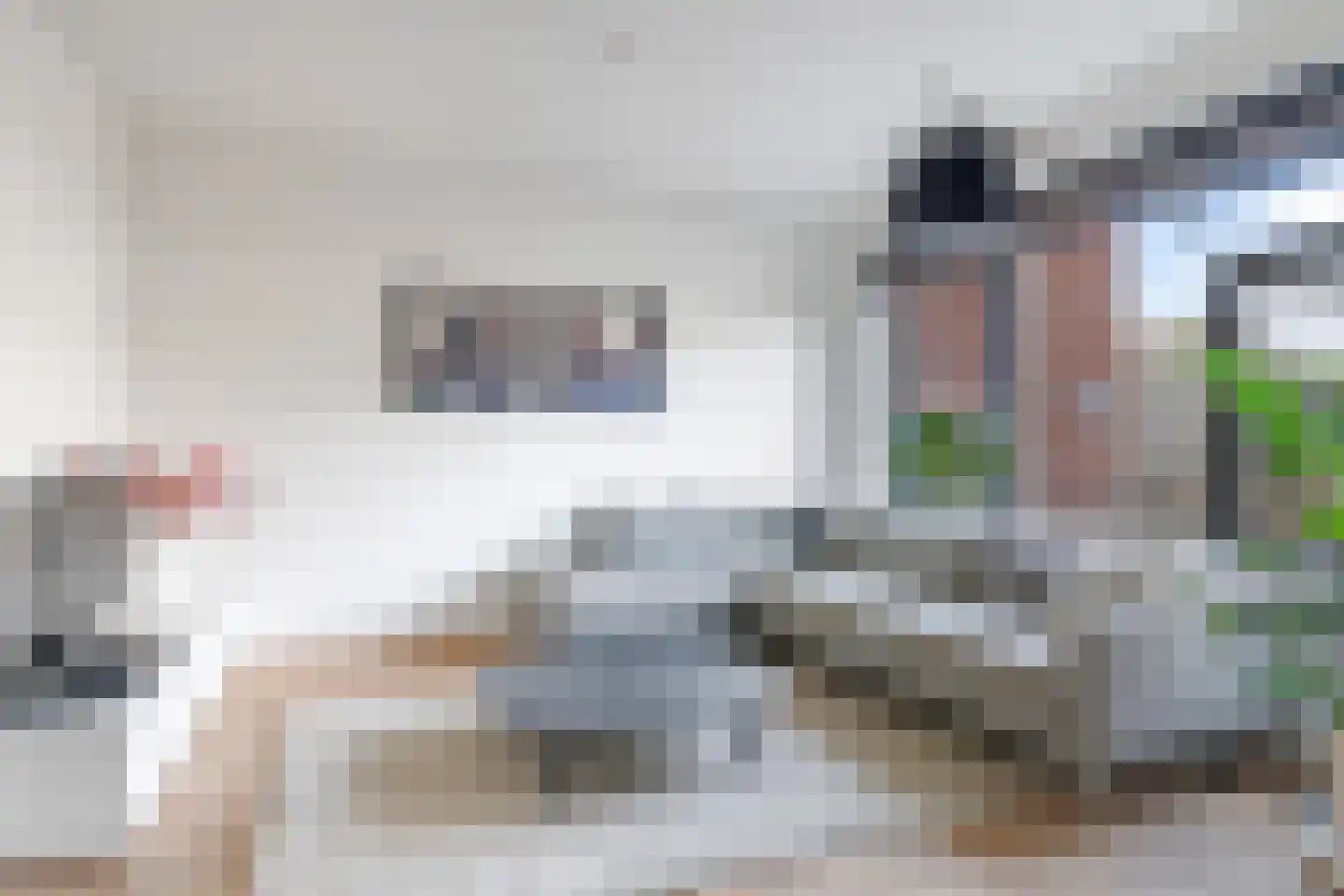 Gruit 22 Bemmel thumbnail 11