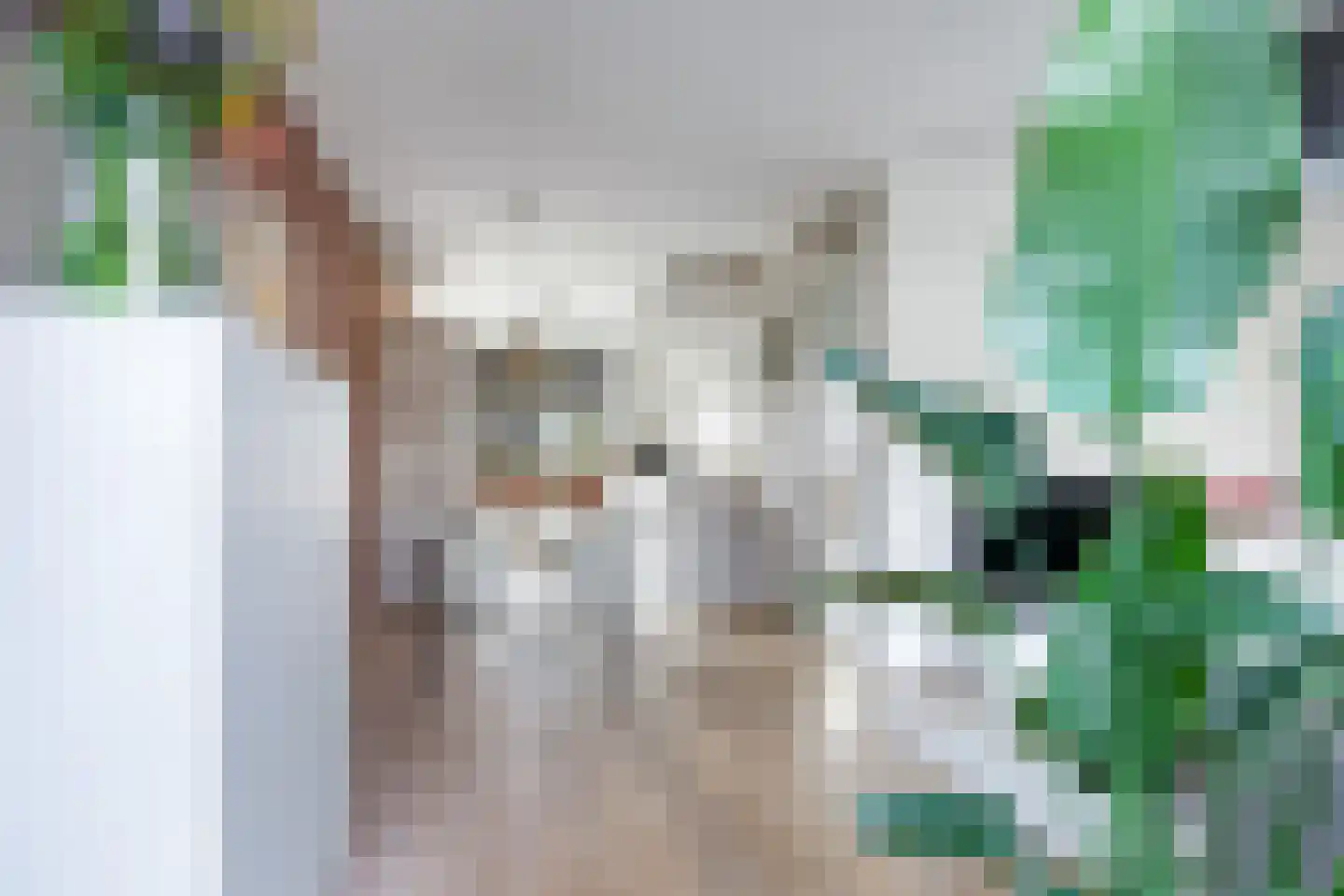 Gruit 22 Bemmel thumbnail 16