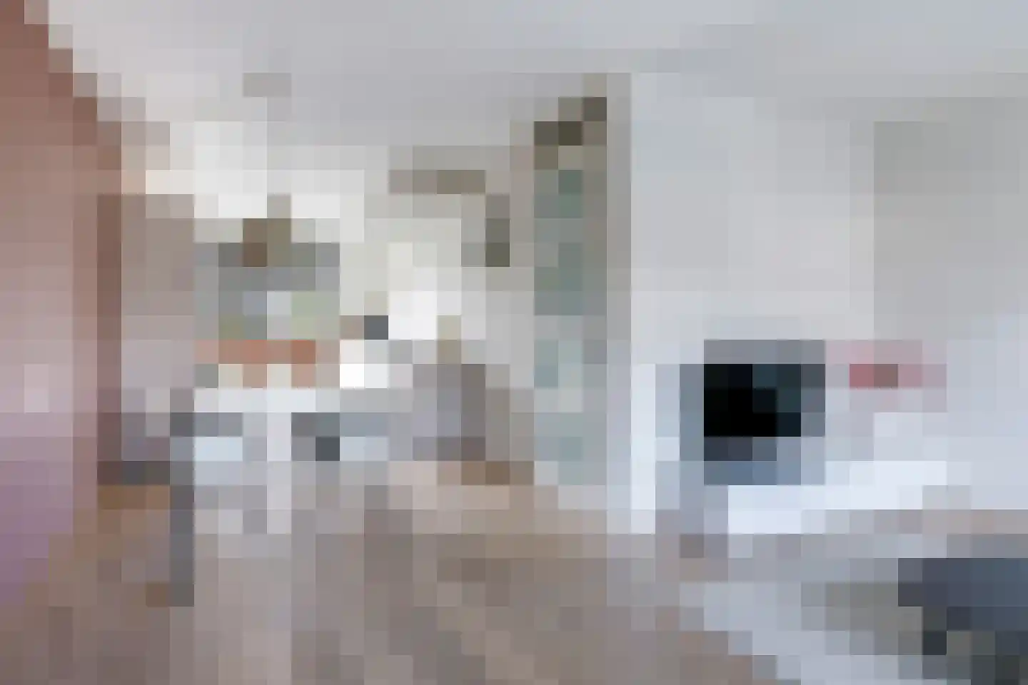Gruit 22 Bemmel thumbnail 17