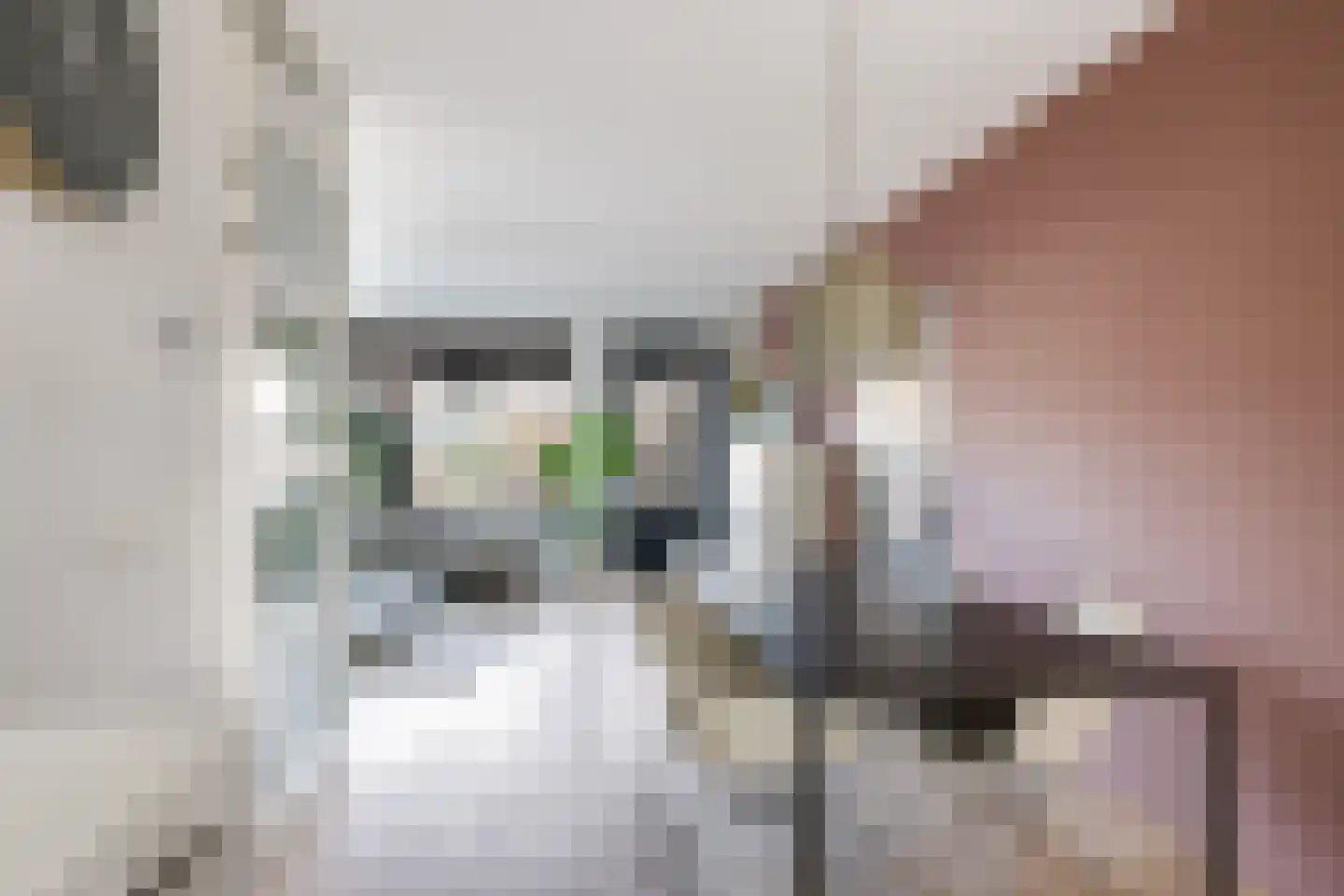 Gruit 22 Bemmel thumbnail 22