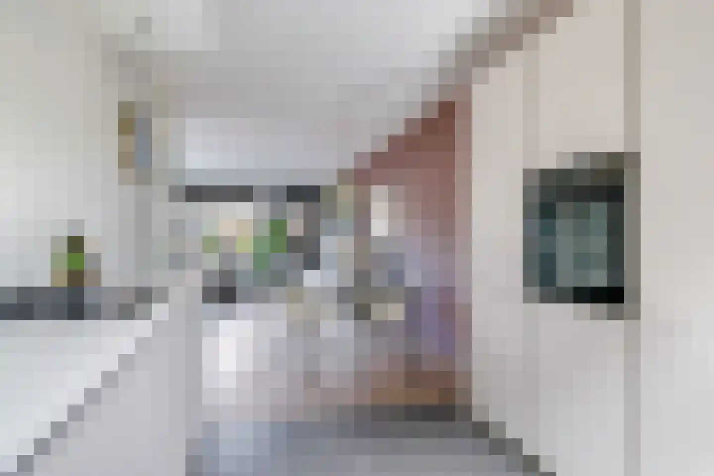 Gruit 22 Bemmel thumbnail 29