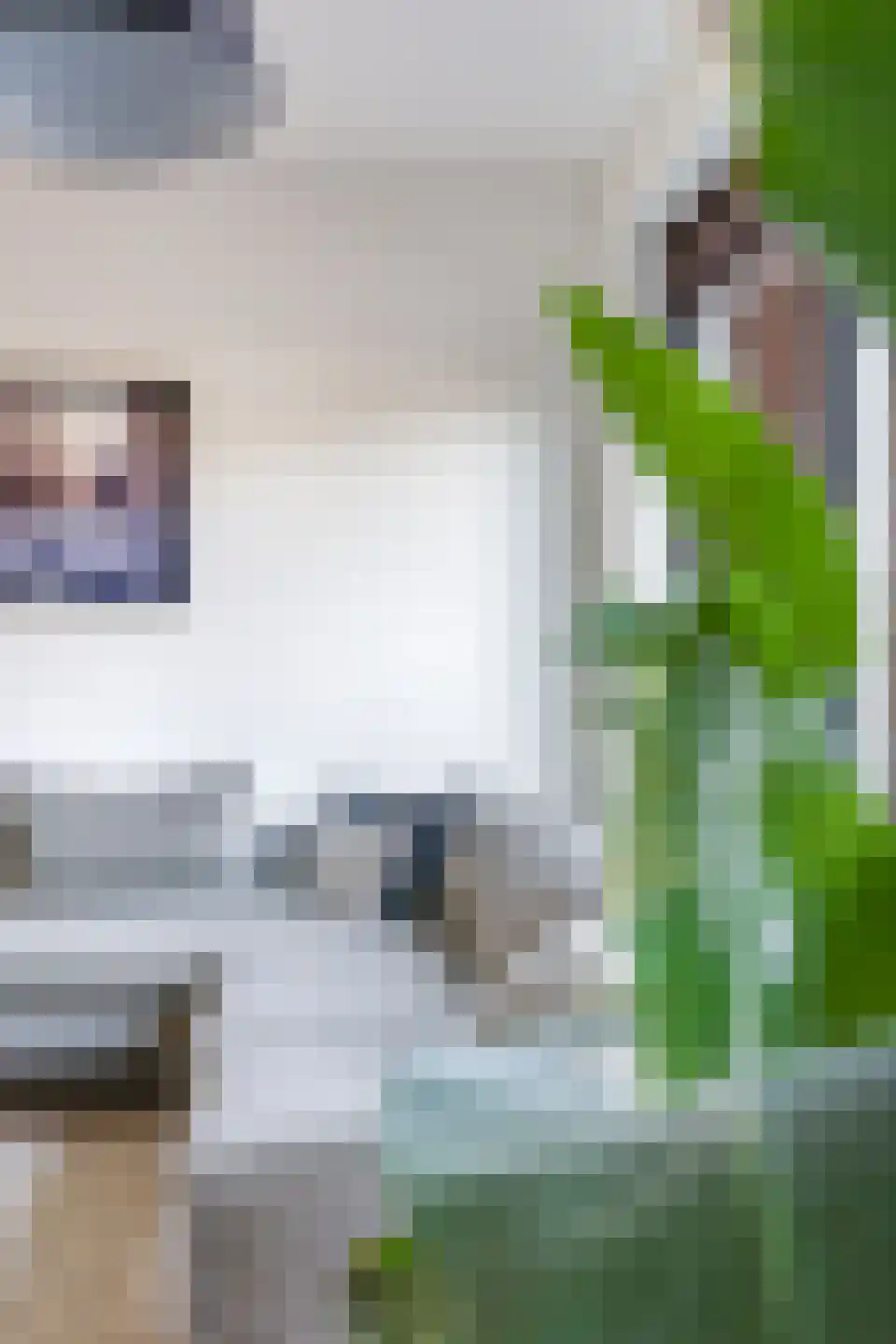 Gruit 22 Bemmel thumbnail 32