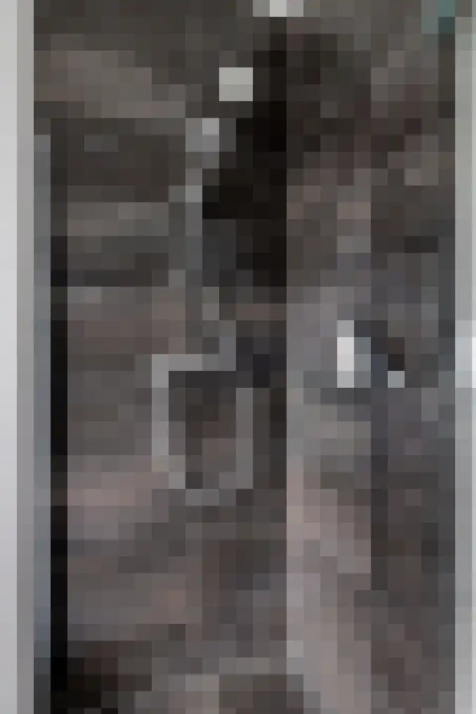 Gruit 22 Bemmel thumbnail 47
