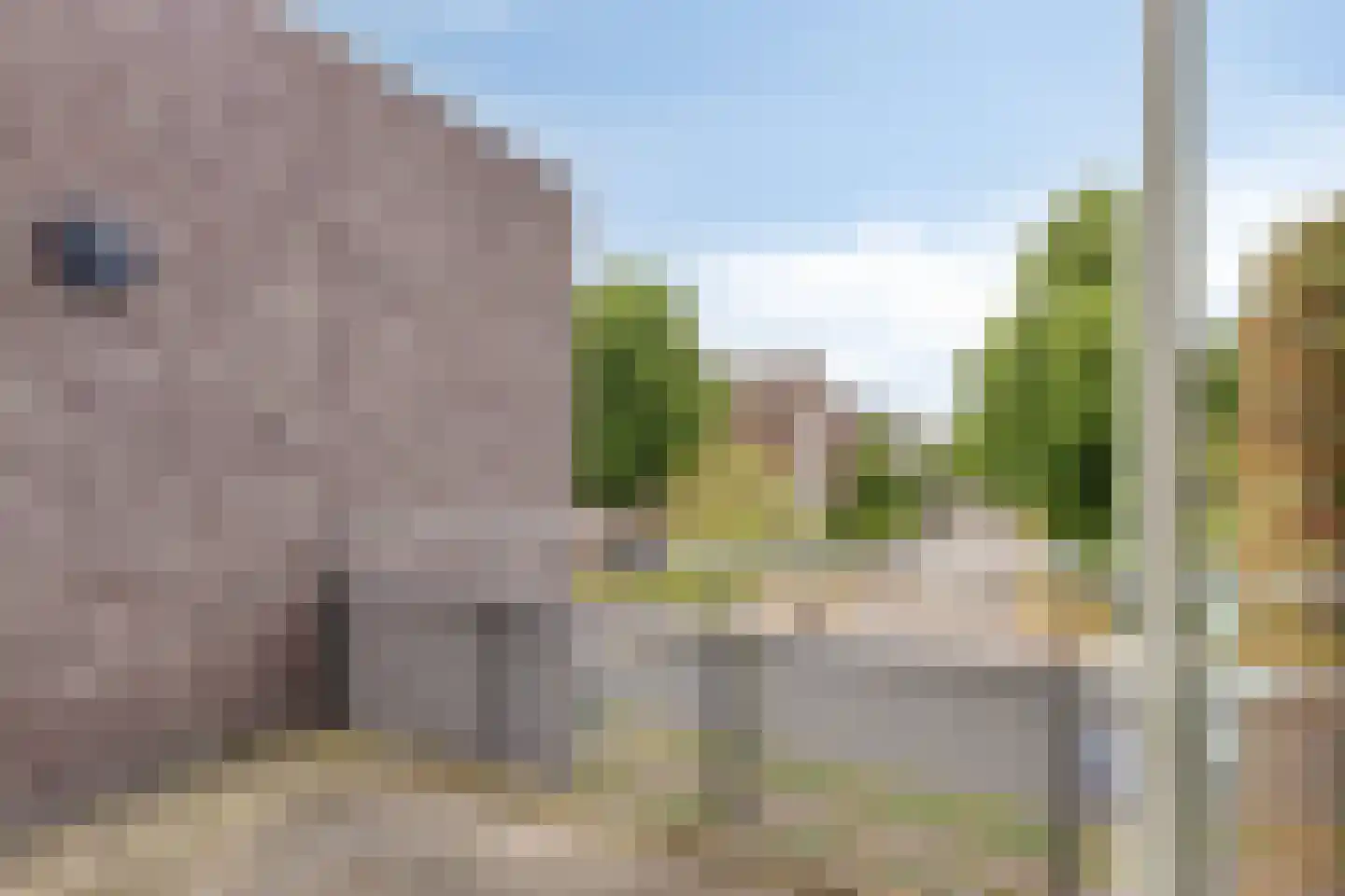 Gruit 25 h Bemmel thumbnail 21