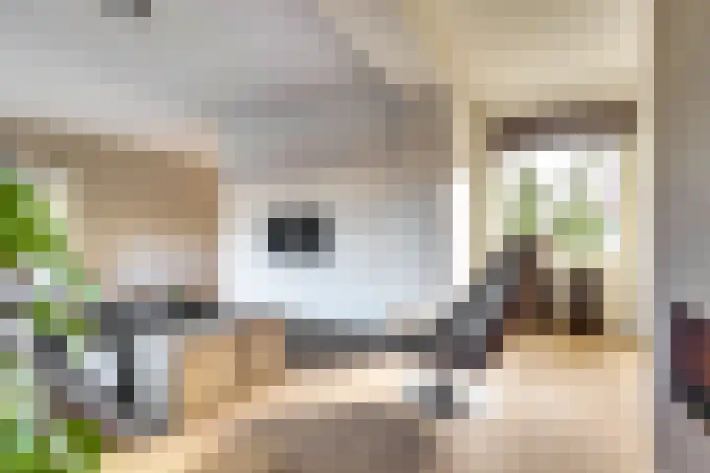 Gruit 34 Bemmel thumbnail 10