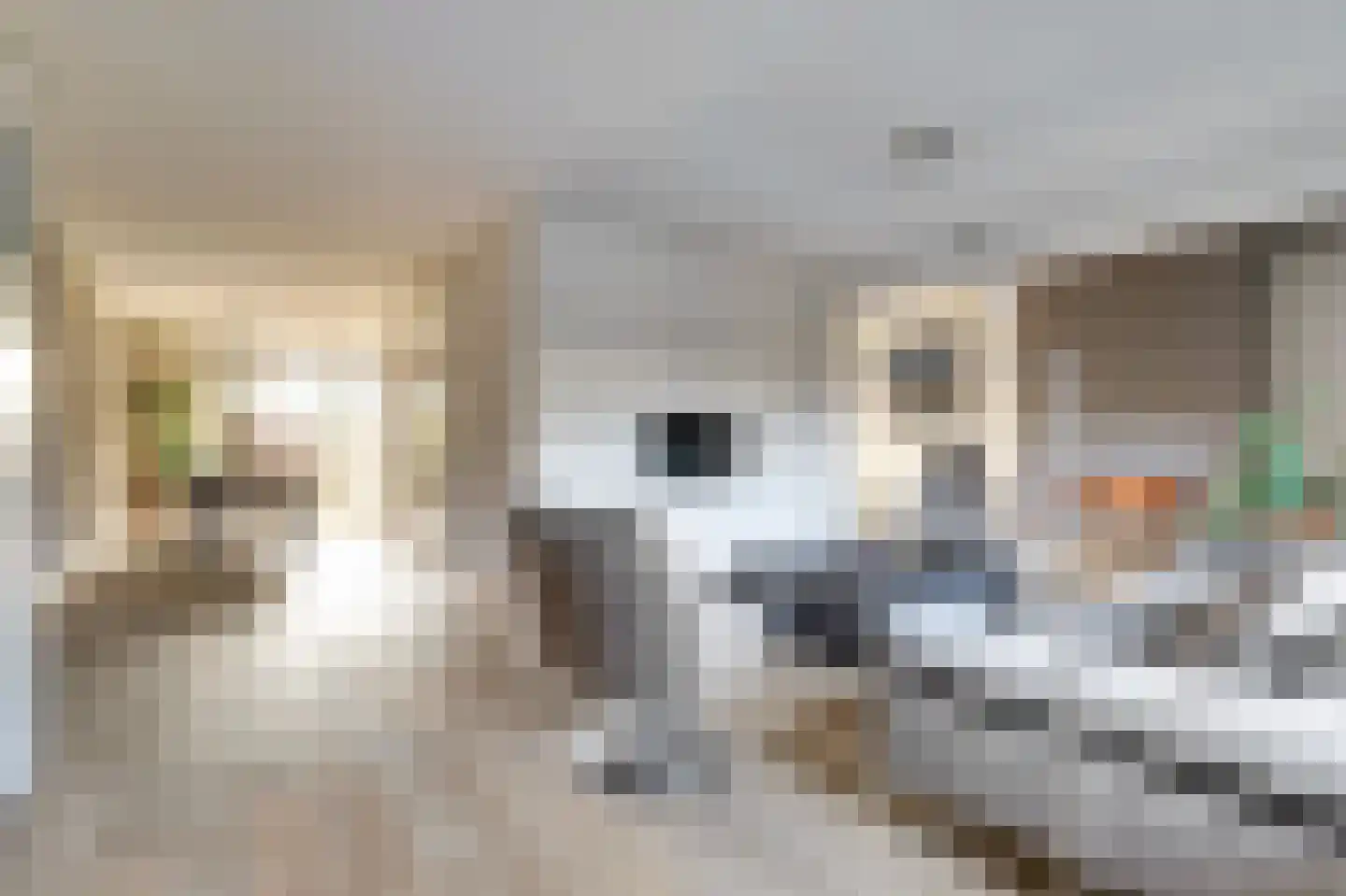 Gruit 34 Bemmel thumbnail 13