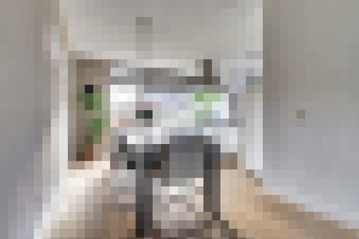 Gruit 34 Bemmel thumbnail 15