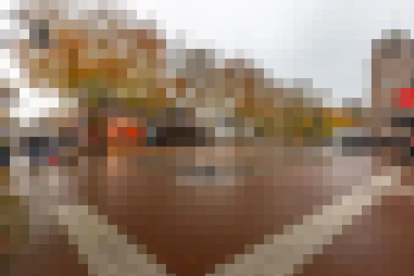Gruit 34 Bemmel thumbnail 52