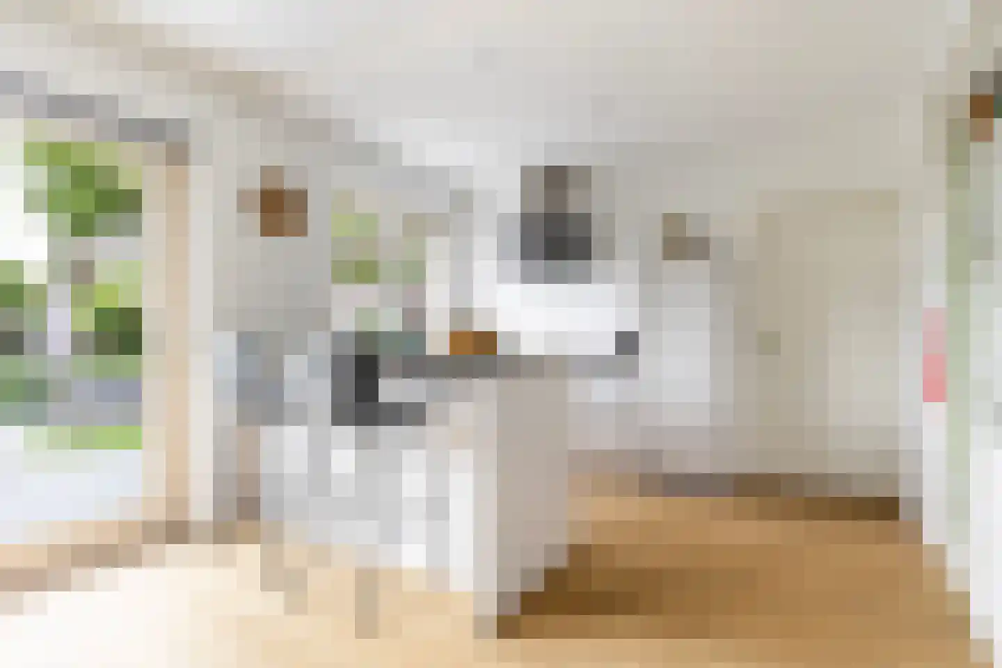 Gruitersmalaan 21 Sneek thumbnail 12