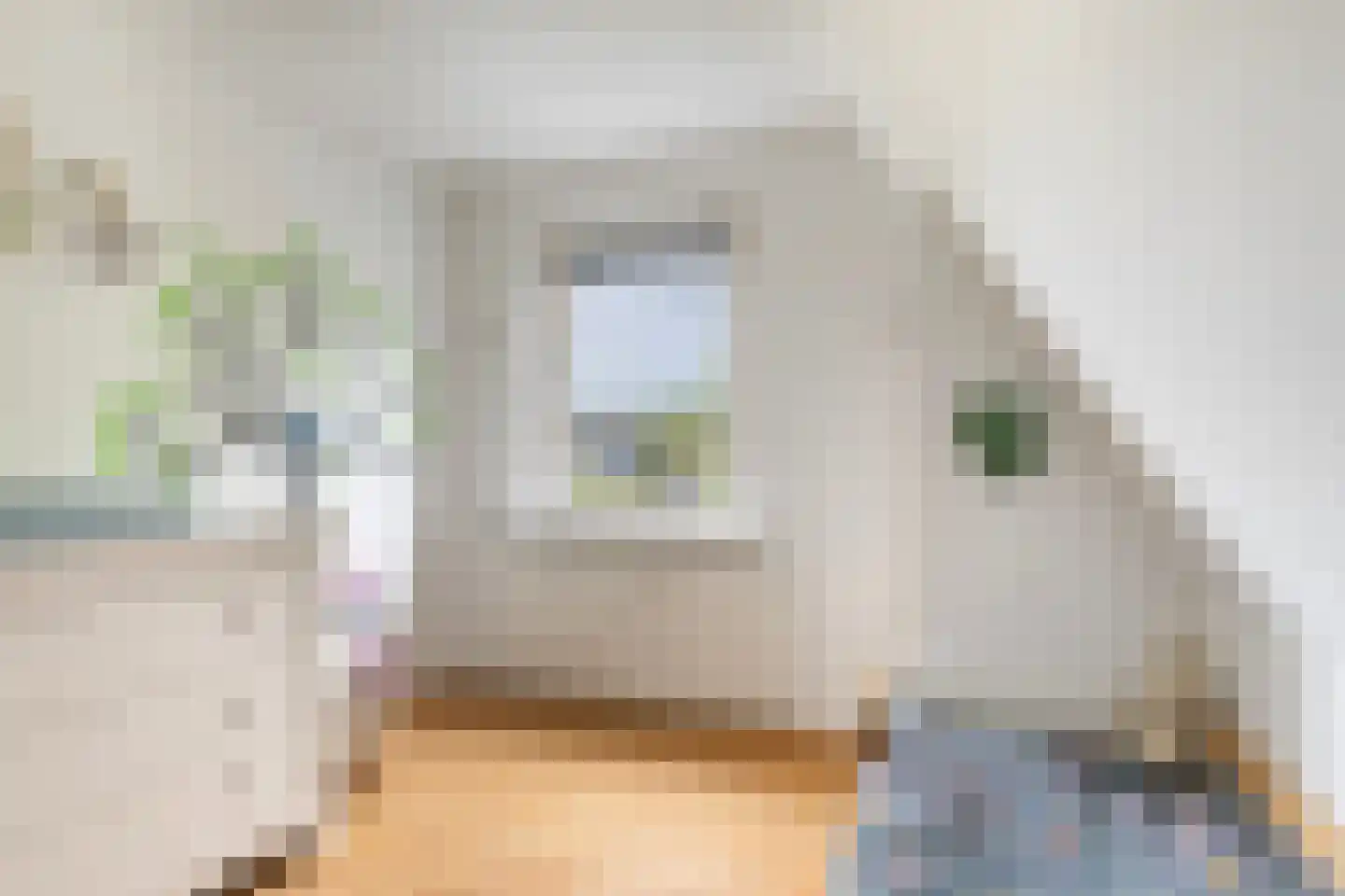 Gruitersmalaan 21 Sneek thumbnail 40