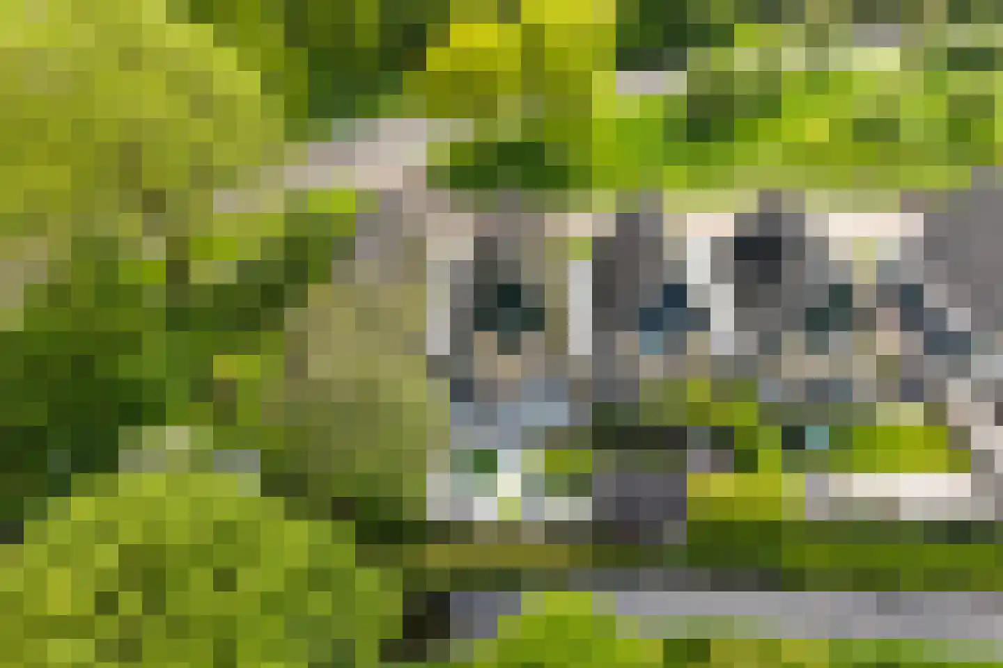 Gruitersmalaan 21 Sneek thumbnail 46