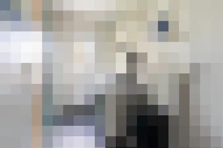 Gruitersmalaan 3 Sneek thumbnail 14