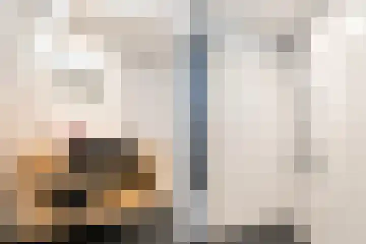 Gruitersmalaan 3 Sneek thumbnail 22