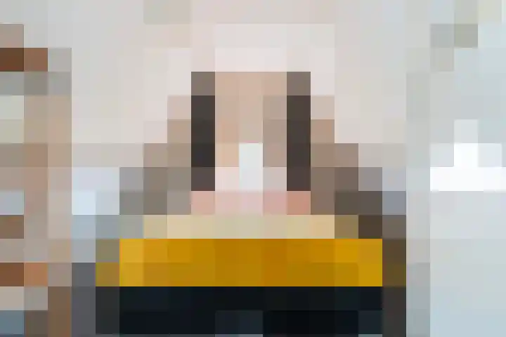 Gruitersmalaan 3 Sneek thumbnail 24