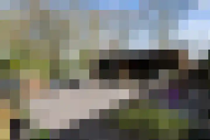 Gruitersmalaan 3 Sneek thumbnail 32