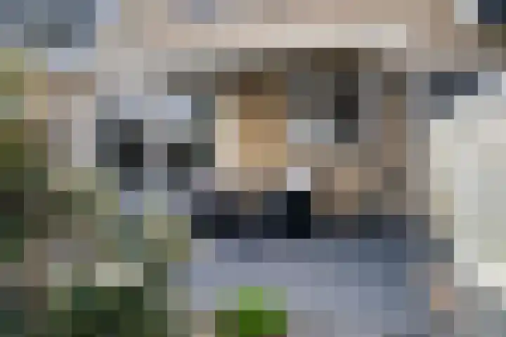 Gruitersmalaan 3 Sneek thumbnail 35