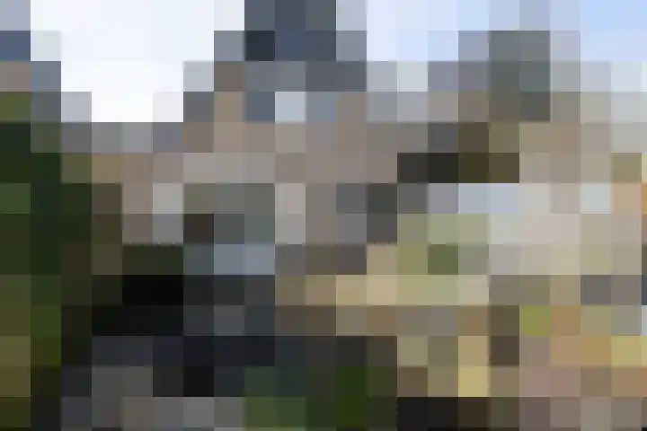 Gruitersmalaan 3 Sneek thumbnail 38