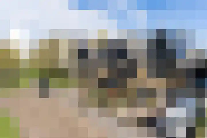 Gruitersmalaan 3 Sneek thumbnail 44