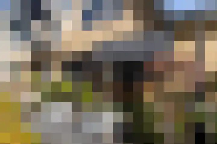 Gruitersmalaan 3 Sneek thumbnail 46
