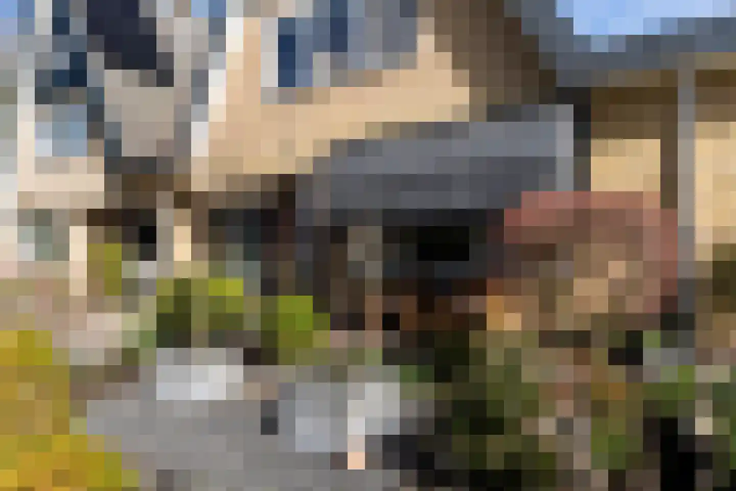 Gruitersmalaan 3 Sneek thumbnail 46