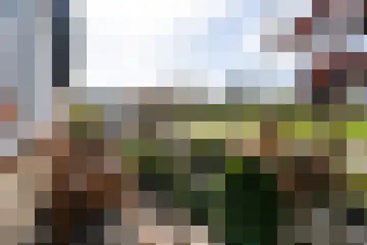 Gruitersmalaan 3 Sneek thumbnail 47