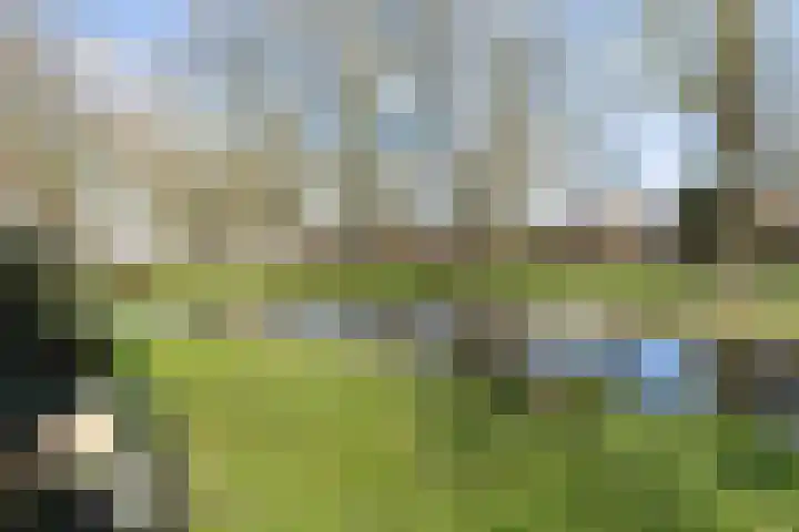 Gruitersmalaan 3 Sneek thumbnail 49