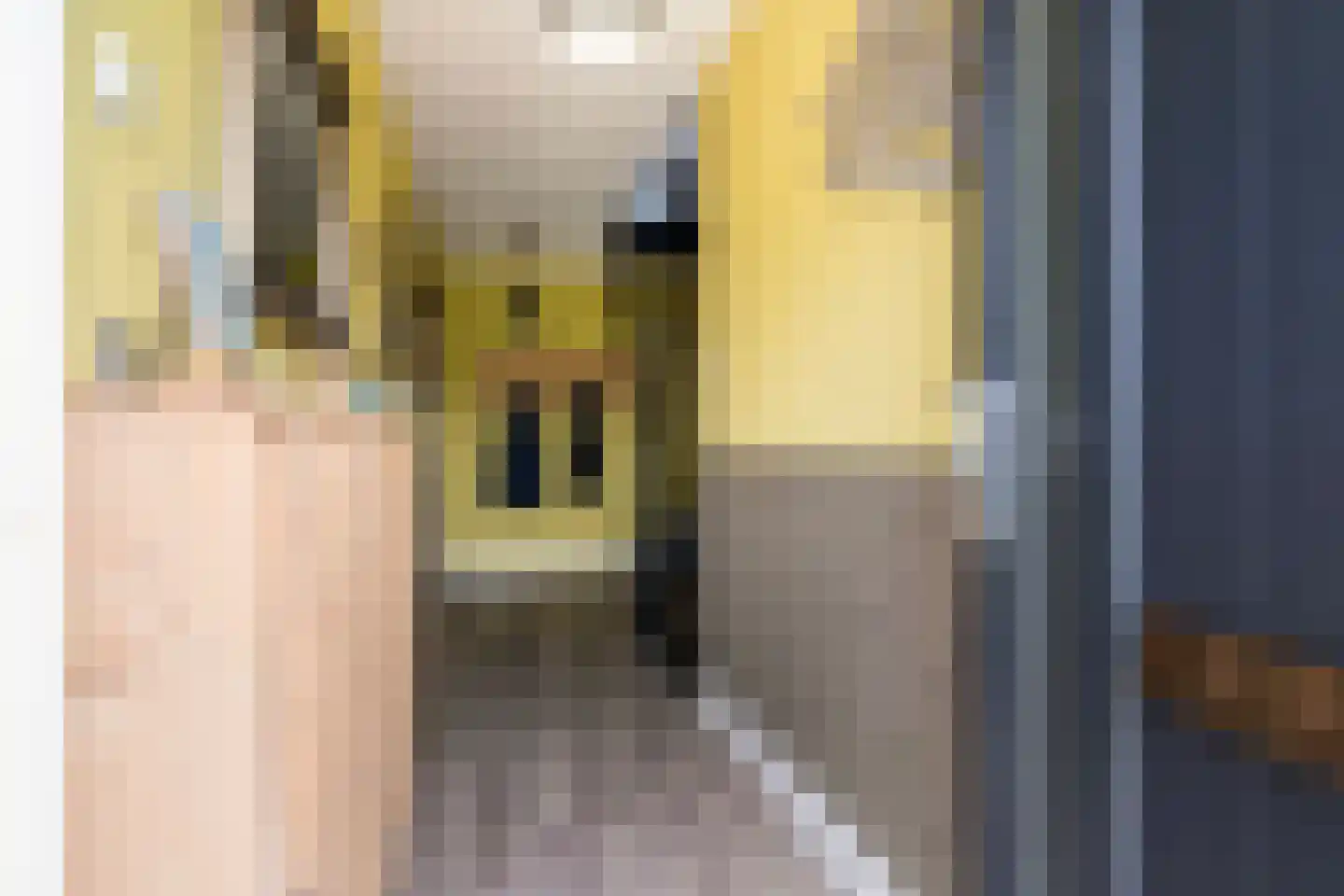 Gruitersmalaan 3 Sneek thumbnail 5