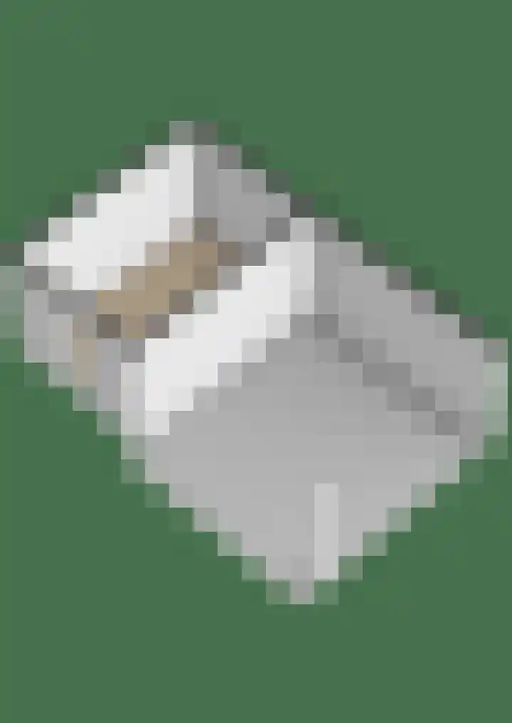 Gruitersmalaan 3 Sneek thumbnail 58