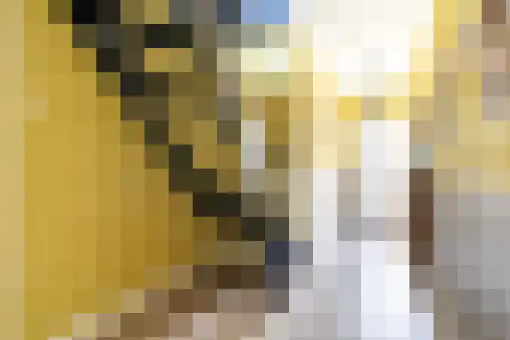 Gruitersmalaan 3 Sneek thumbnail 7