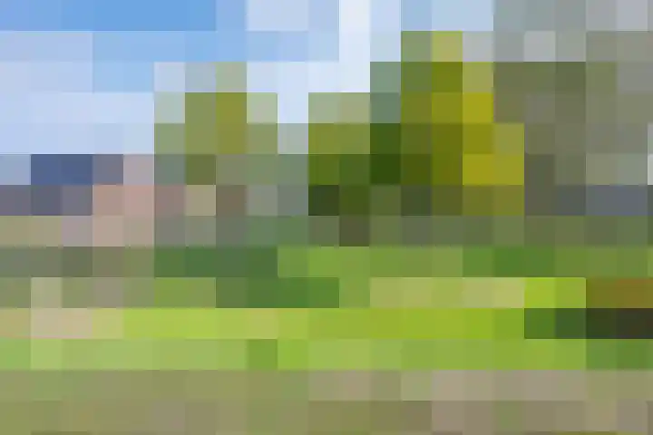 Gruithof 26 Lieshout thumbnail 10