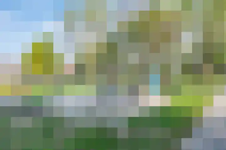 Gruithof 26 Lieshout thumbnail 11