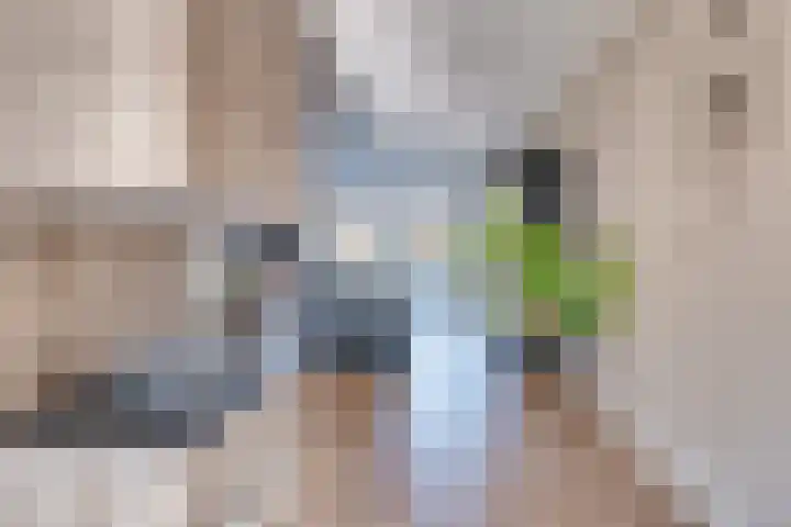 Gruithof 26 Lieshout thumbnail 20