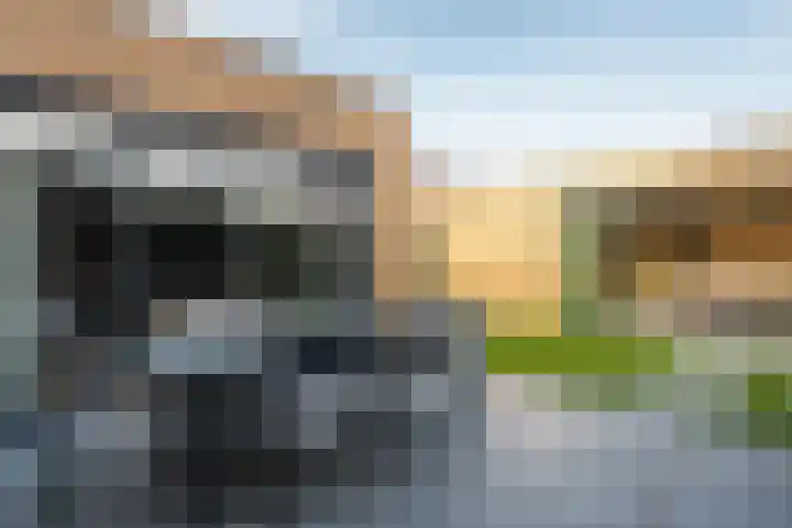 Gruithof 26 Lieshout thumbnail 45