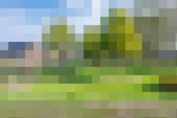 Gruithof 26 Lieshout thumbnail 6