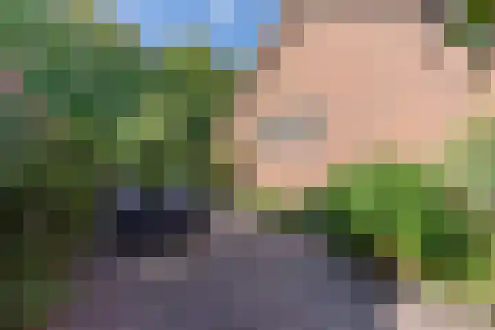 Gruitkamp 14 Ermelo thumbnail 22