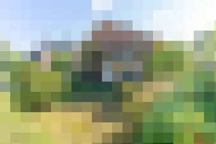Gruitkamp 14 Ermelo thumbnail 25