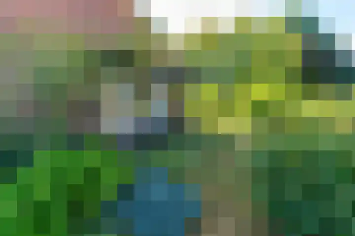 Gruitkamp 14 Ermelo thumbnail 26