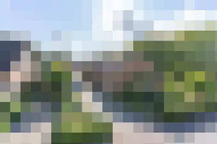 Gruitkamp 14 Ermelo thumbnail 4