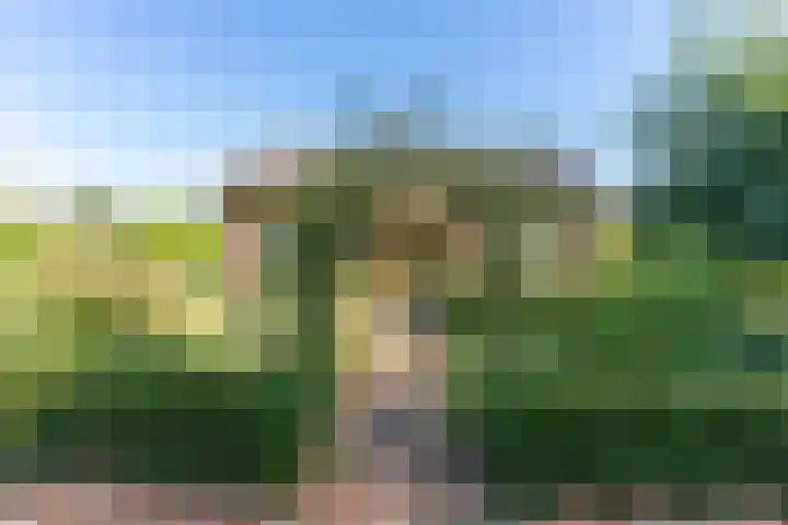 Gruitkamp 14 Ermelo thumbnail 6