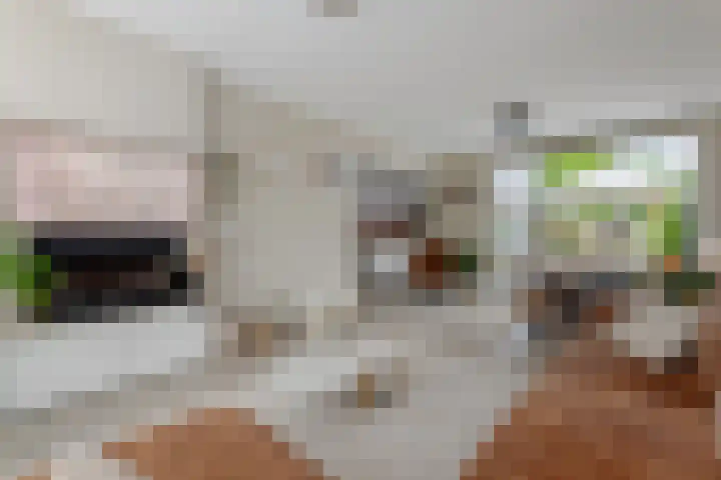 Gruitkamp 5 Ermelo thumbnail 11