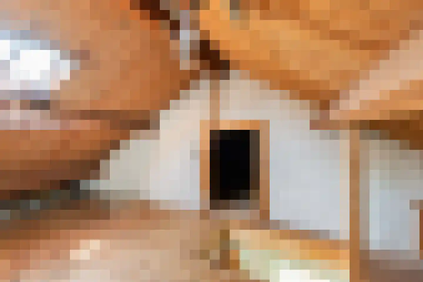 Gruitkamp 6 Ermelo thumbnail 31