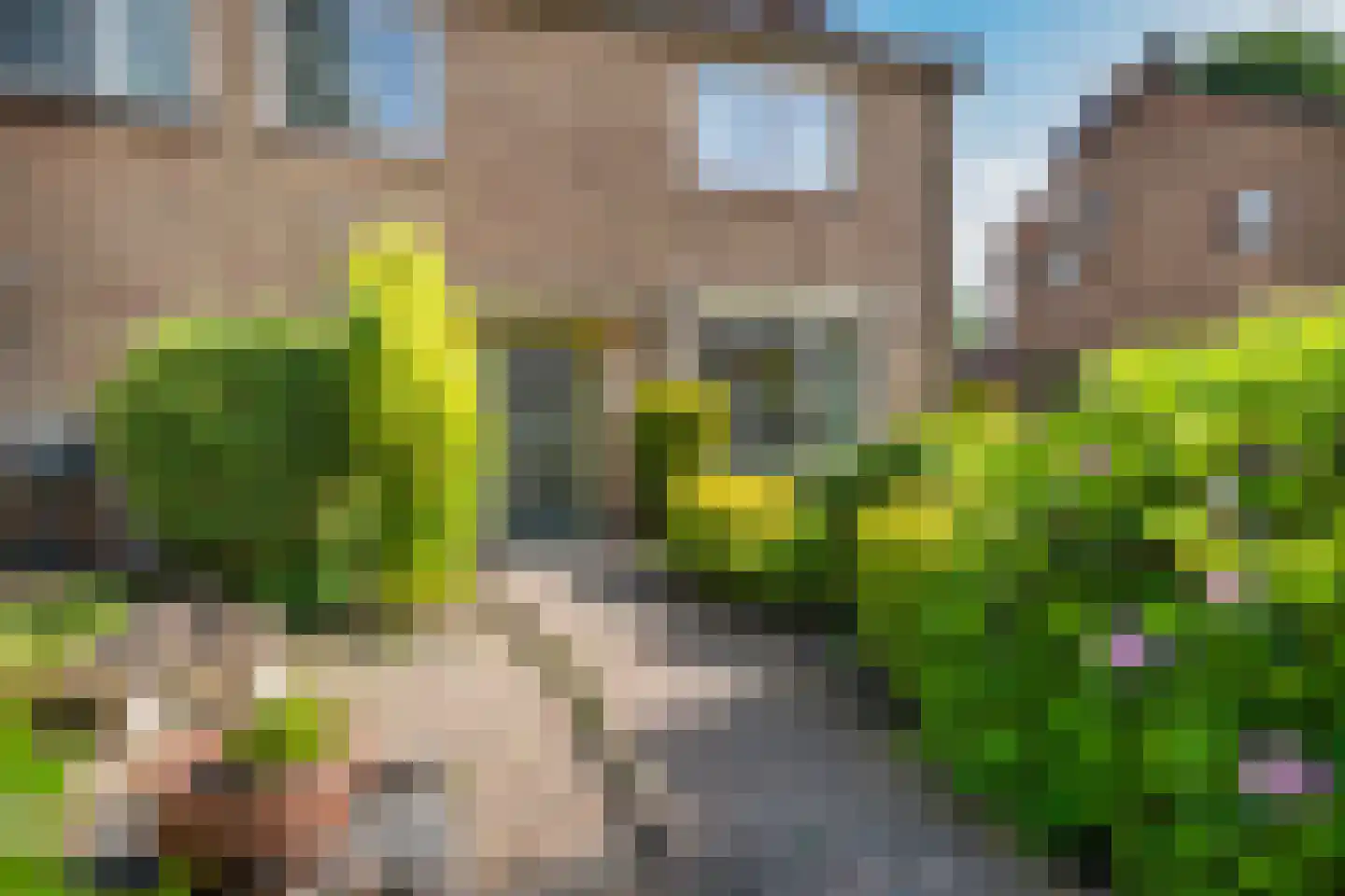 Gruitkamp 6 Ermelo thumbnail 4